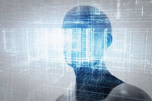 季卫东视角 人工智能开发的理念、法律政策与应用软件开发