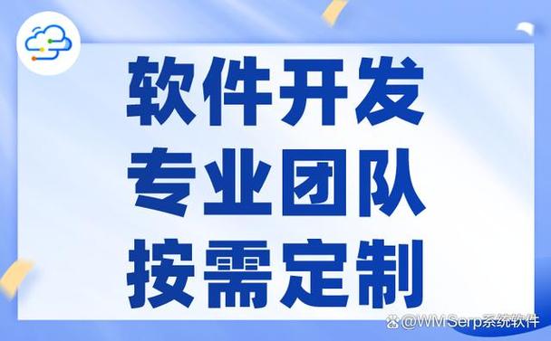 随着人工智能,大数据和云计算等技术的发展和普及,定制软件服务市场